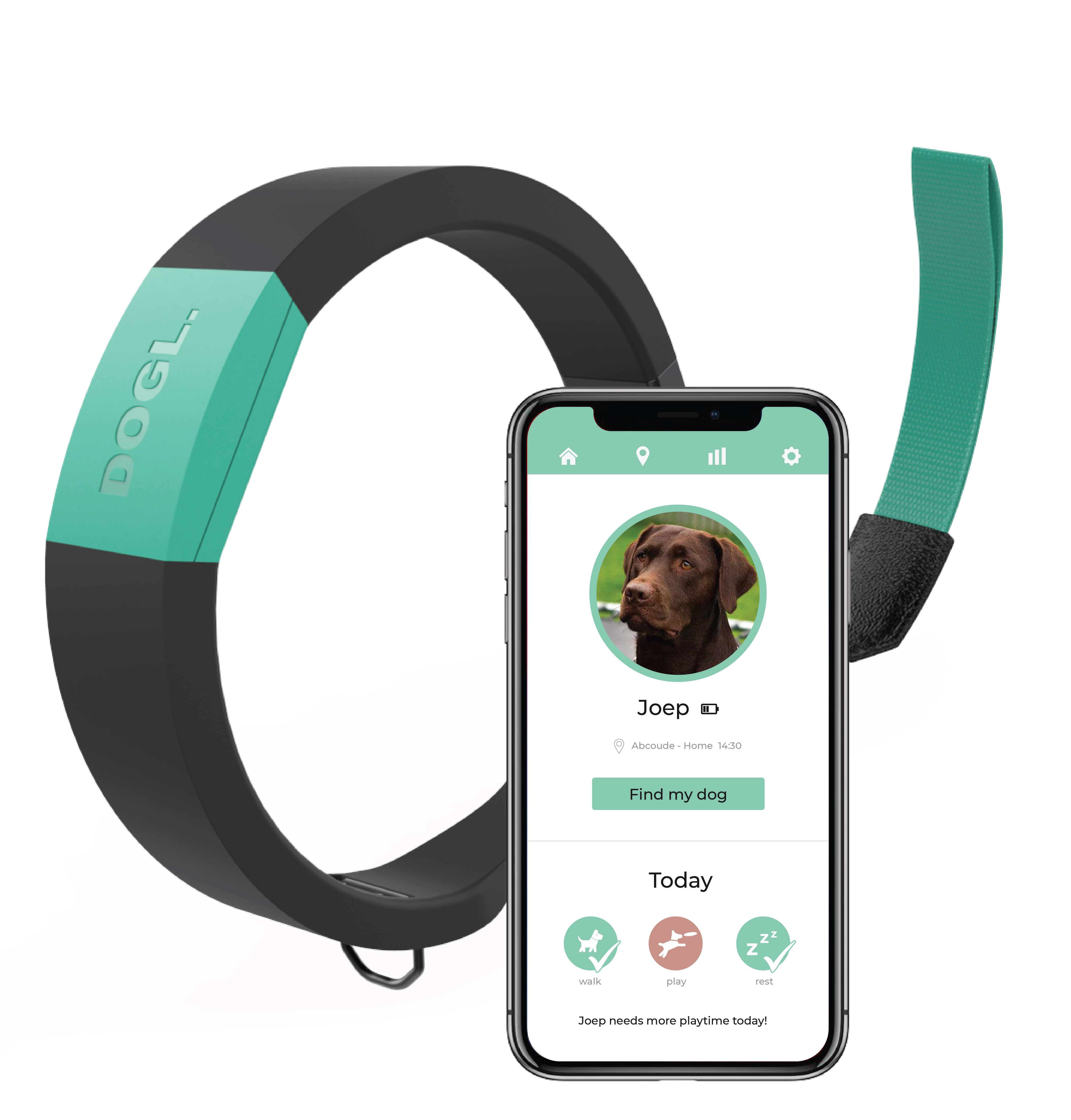 DogL Product Development